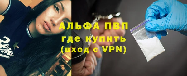 a pvp Аркадак