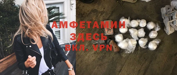 стаф Алзамай